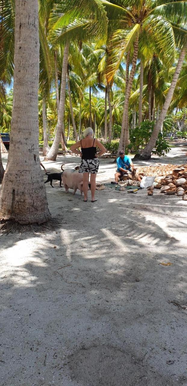Poemanahere Island Camping A Maupiti Te-Fare-Arii Exterior foto